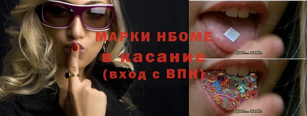 гашик Богданович