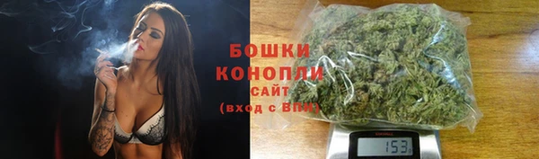 ALPHA PVP Белокуриха