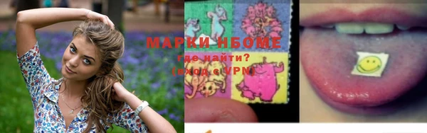 гашик Богданович